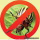 Инсектициды (от вредителей растений)