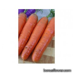Морковь  "Фаворит"