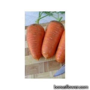 Морковь   "Катрин"