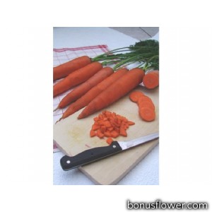 Морковь  "Тинга "