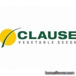 Clause (Франция)