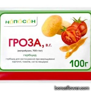 Гербіцид Гроза в.г. (100 г), Нопосон