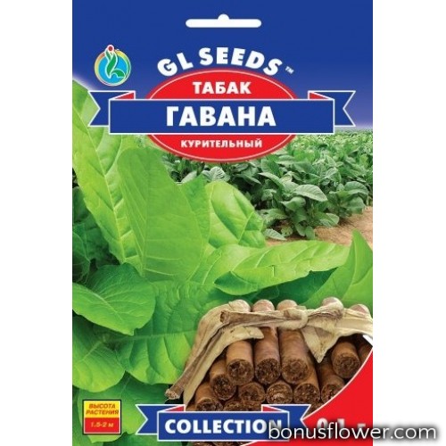 Кубинский табак семена клубника рассада семена