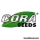 Cora seeds (Италия). Cora seeds