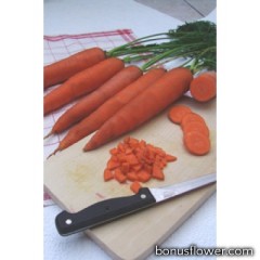 Морковь "ТИНГА"