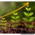 https://bonusflower.com/image/cache/1031c3e40dde54fa514b8f66a8ad6c18.jpg