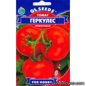 Томат Геркулес 0,15 г, GLSeed