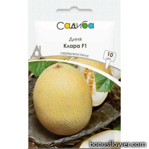 Диня Клара F1, 10 шт, Садиба