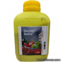 Фунгіцид Белліс в.г. (1 кг), BASF