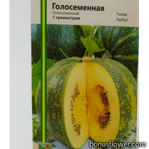 Тыква Голосеменная 1 г