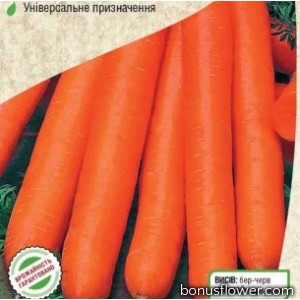 Морковь "Памела"