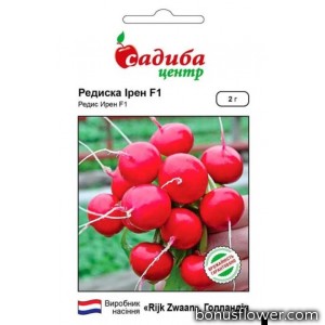 Редиска Ірен, 2 г, Садиба