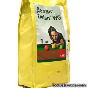 Фунгіцид Делан 70% в.г. (1 кг), BASF