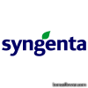Syngenta (Нідерланди)