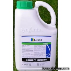 Інсектицид Енжіо 247 SC к.с., 5 л, Syngenta