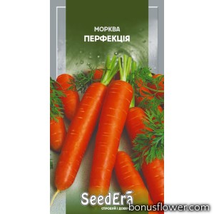 Морковь Столовая Перфекция