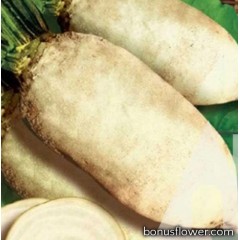Буряк кормовий Центаур (Україна), 5 кг, Садиба