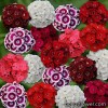 Гвоздика - Dianthus 