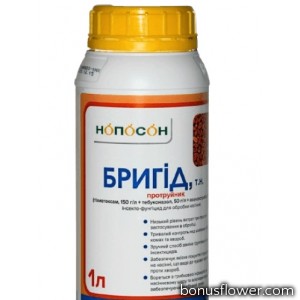 Протруйник Бригід т.н. (1 л), Нопосон
