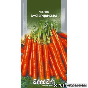 Морковь Столовая Амстердамская