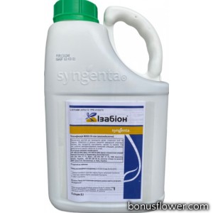 Біодобриво Ізабіон р., 5 л, Syngenta