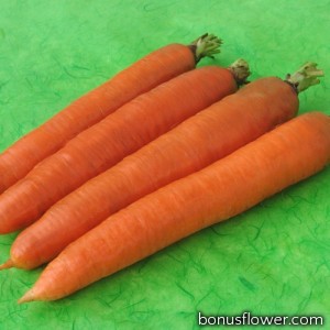 Морква "Франціс"