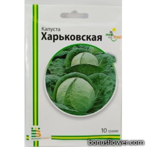 Капуста Харьковская 10 г, Империя семян