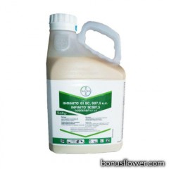 Фунгіцид Інфініто 61 SC 687,5 к.с. (5 л), Bayer