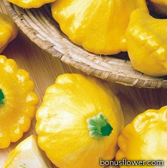 https://bonusflower.com/image/cache/71a653376e98d0bafa7aace11ba35645.jpg