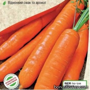Морковь "Натофи"