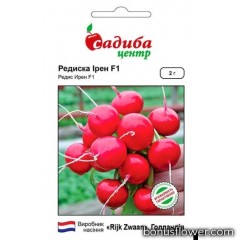 Редиска Ірен, 2 г, Садиба