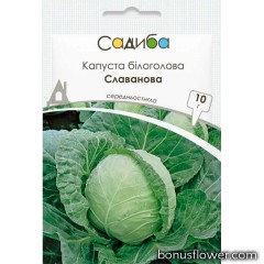 Капуста білокачанна Славанова F1 10 г, Садиба