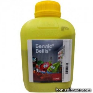 Фунгіцид Белліс в.г. (1 кг), BASF