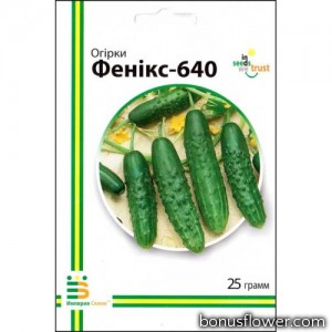 Огірок Фенікс-640 25 г
