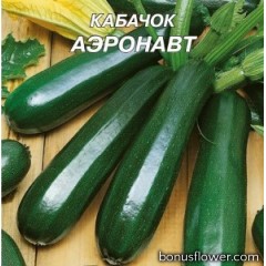 Кабачок Аэронавт