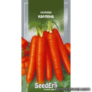 Морковь Столовая Карлена