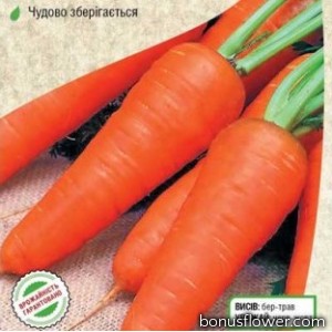 Морковь "Кампино"