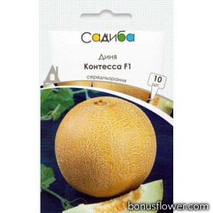 Диня Контесса F1, 10 шт, Садиба