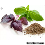 https://bonusflower.com/image/cache/bb8f7d7fd4166acb310fb255a0efe883.png