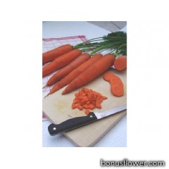 Морковь  "Тинга "