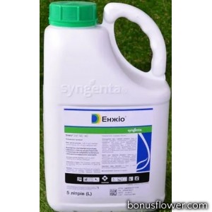 Інсектицид Енжіо 247 SC к.с., 5 л, Syngenta