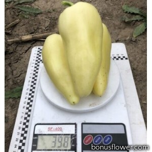 Перець Бора F1 5 шт, Spark Seeds