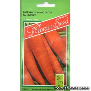 Морковь   "Франсис" (Олимпус )