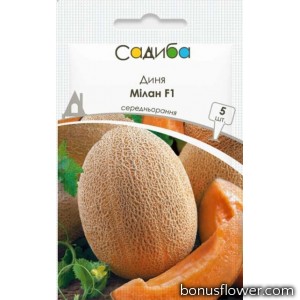 Диня Мілан F1, 10 шт, Садиба