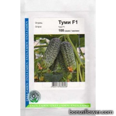 Огурец Туми F1