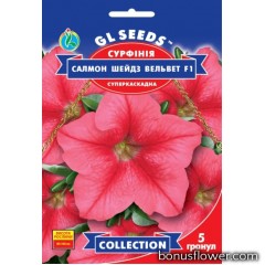 Сурфiнiя F1 Салмон Шейдз Вельвет 5 шт, GL Seeds