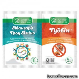 Інсектицид Гудвін + Авангард Гроу Аміно, 5 мл + 10 мл, Укравіт