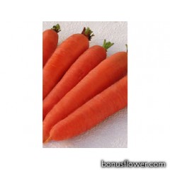 Морковь   "Цидера "