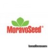 Moravoseed (Чехія)