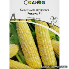 Кукурудза цукрова Ракель F1, 20 шт, Садиба Центр